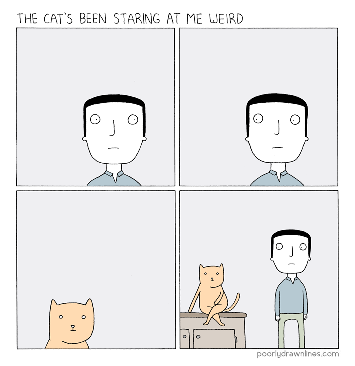 staring-cat.png
